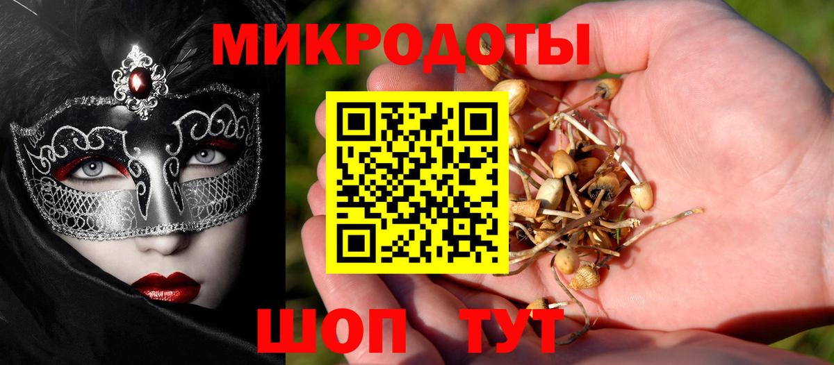 Галлюциногенные грибы Psilocybe Кисловодск